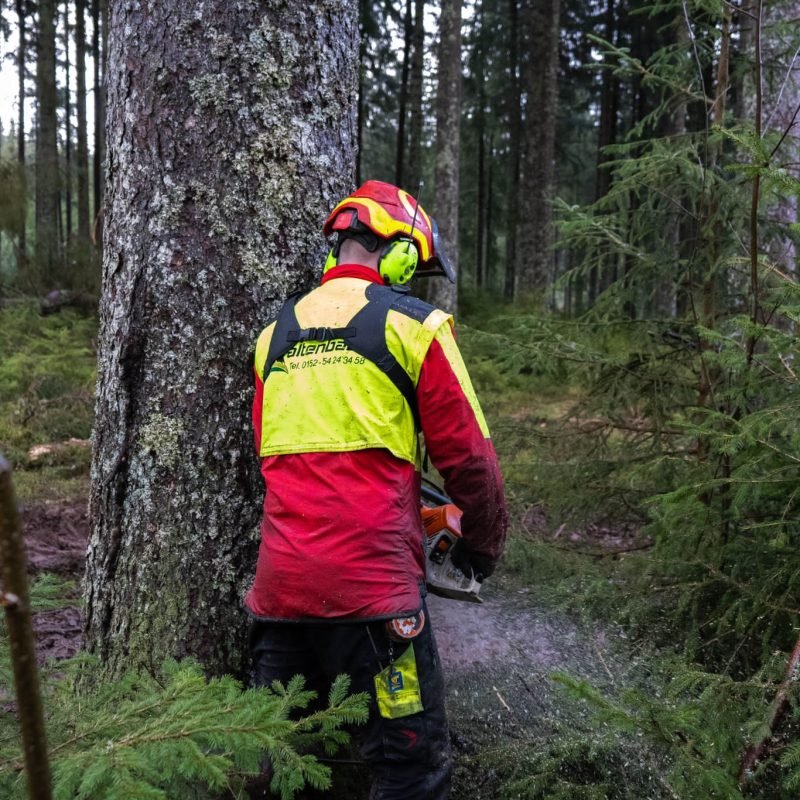 Foto 03.07.25, 08 24 51 (4) (1)