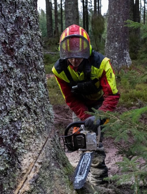 Foto 05.01.24, 14 39 54